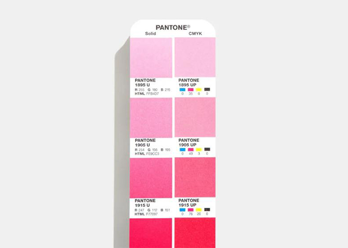 Pantone Color Chip